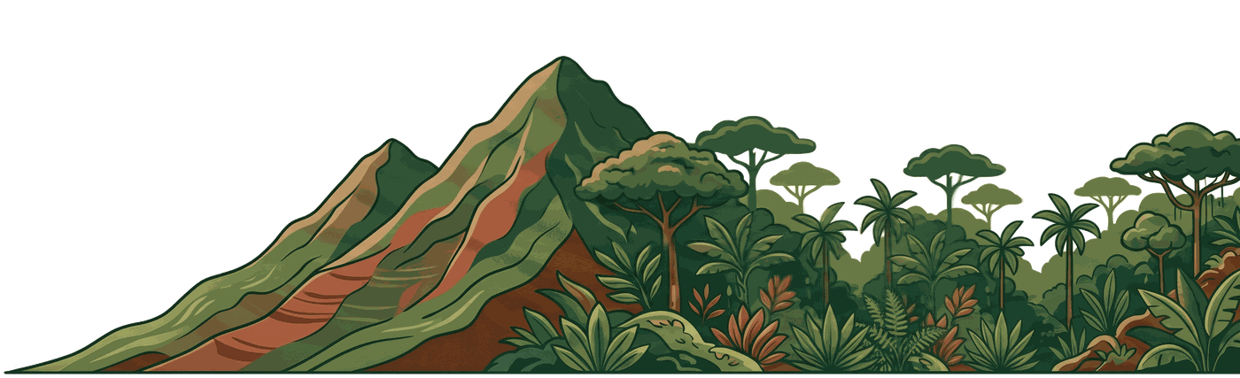 Ilustración del Alto Mayo: una montaña con cafetales que sube de 900 a 1,700 msnm junto a la selva amazónica, bajo una nube con lluvia y sol.